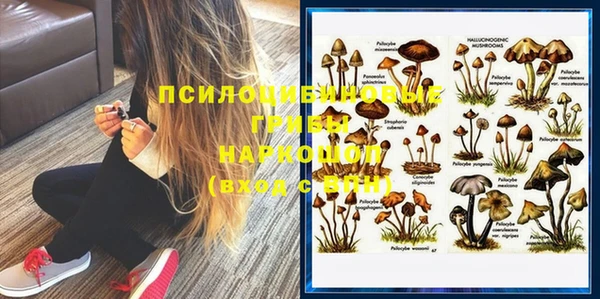 кокс Баксан