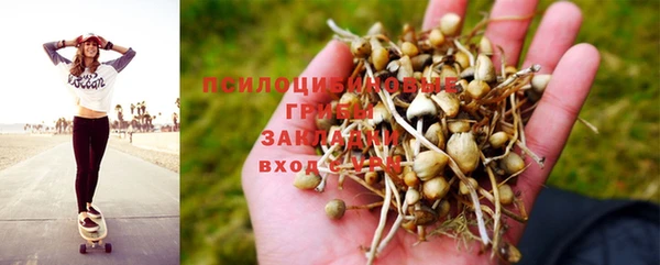 кокс Баксан