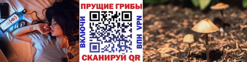 Псилоцибиновые грибы GOLDEN TEACHER  Купить где  Семикаракорск 
